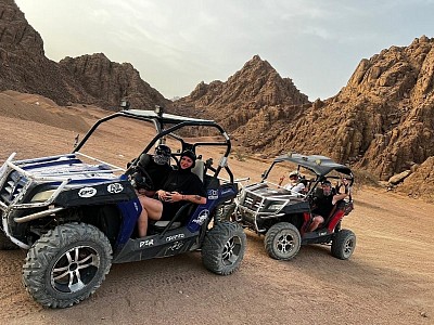 Sahara Mix Safari